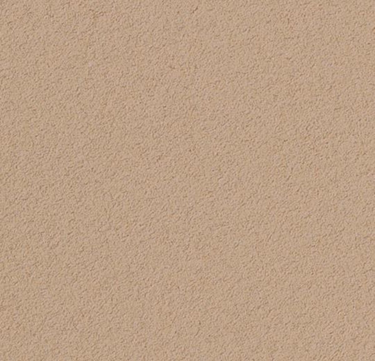 Blanched Almond 2186 Insert